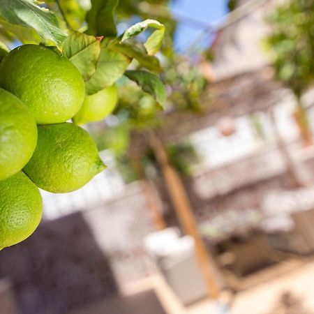 Apartament Lemon Paradise Alicante Zewnętrze zdjęcie