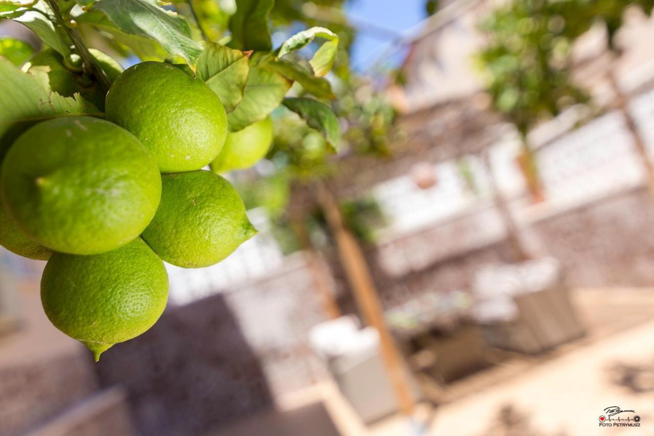 Apartament Lemon Paradise Alicante Zewnętrze zdjęcie